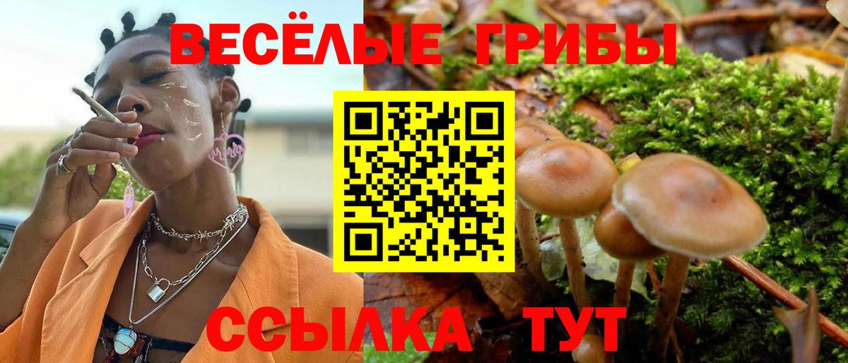 Галлюциногенные грибы Psilocybe  Псилоцибиновые грибы MAGIC MUSHROOMS  Вход с VPN  Курск 